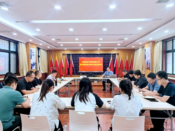 陜西地礦區(qū)研院有限公司召開黨支部標(biāo)準(zhǔn)化規(guī)范化建設(shè)推進(jìn)會(huì)